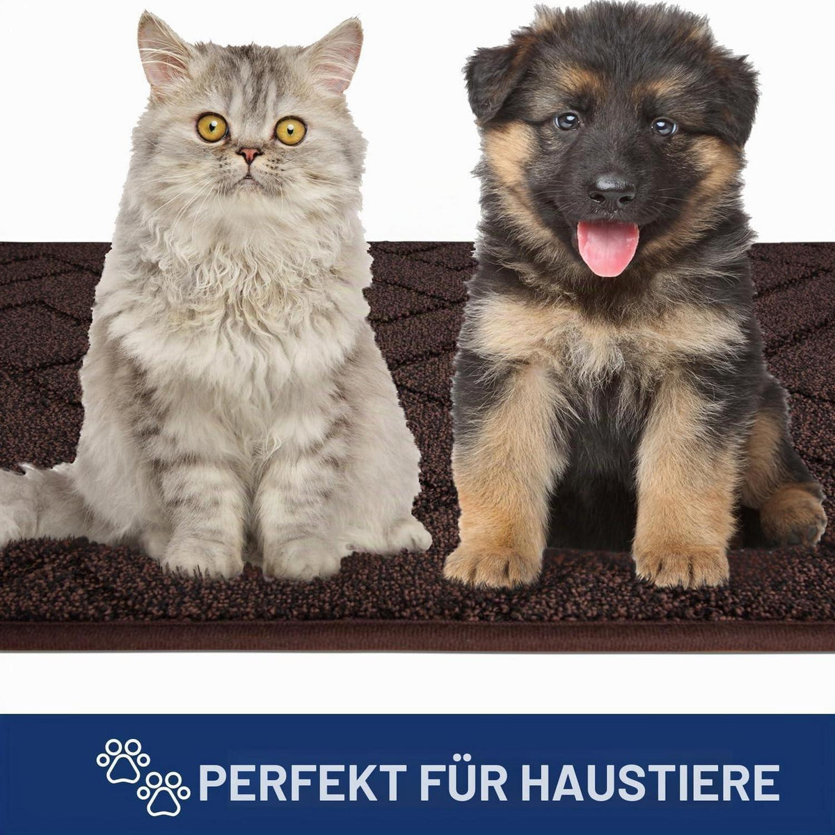 Schmutzfangmatte 80x120 cm – Rutschfest & Waschbar