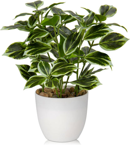 Kunstpflanze Künstliche Ficus Pflanze Dekopflanze Fensterbank