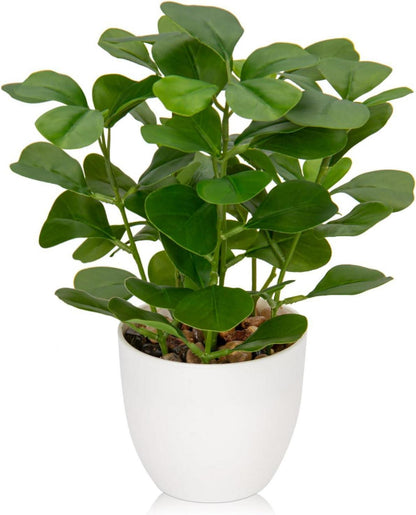 Kunstpflanze Ficus Dekopflanze Fensterbank Grün