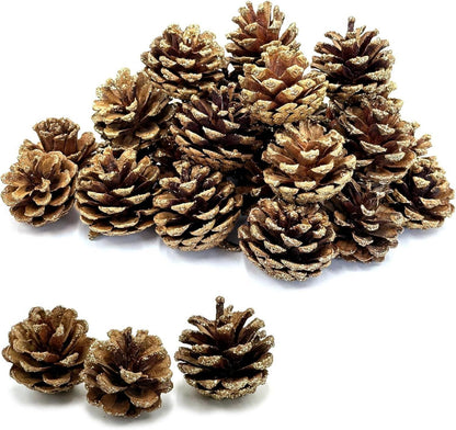 30 Stück goldfarbene Tannenzapfen 3-4cm Weihnachtsdeko Set