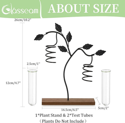 Moderne Glasseam Hydrokultur Vase Terrarium Pflanzen Deko