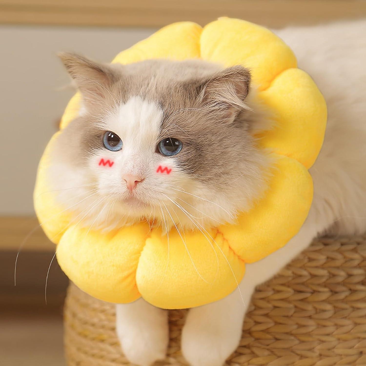 Halskrause Katze Einstellbarer Sonnenblume Halsband für Katzen Kleiner