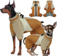 Wasserdichter Hundemantel für kleine Hunde mit Geschirr, Winter, Braun