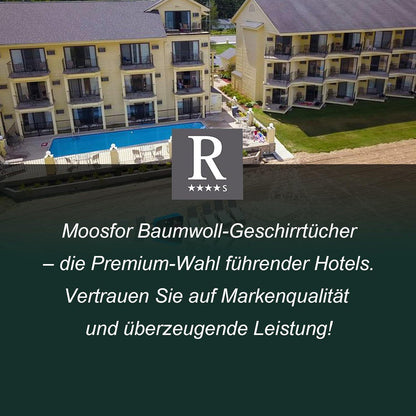 Moosfor Geschirrtücher 100% Baumwolle 6er Set Weich
