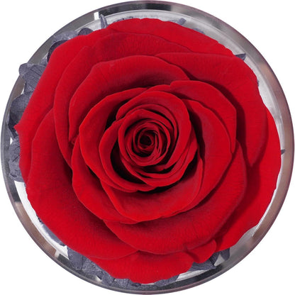 Sunia Ewige Rose Engel Figur Beste Mama Geschenk