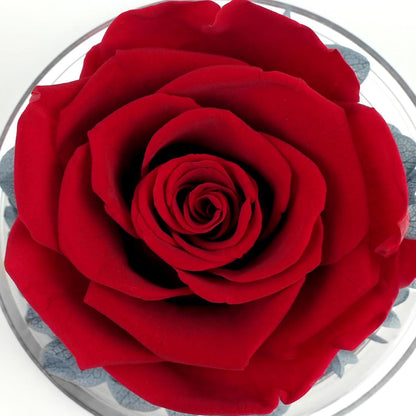 Sunia Ewige Rose Engel Figur Geschenk für Beste Mama der Welt