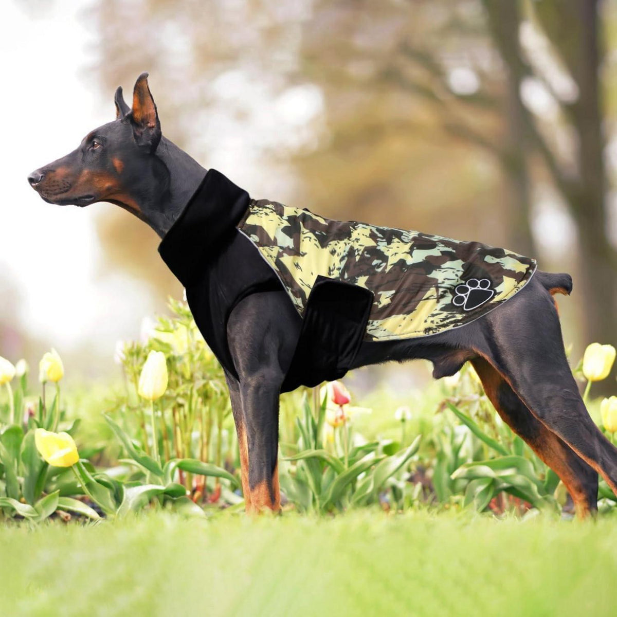Weihnachts Hundemantel für Kleine Hunde Fleece Braun XXL