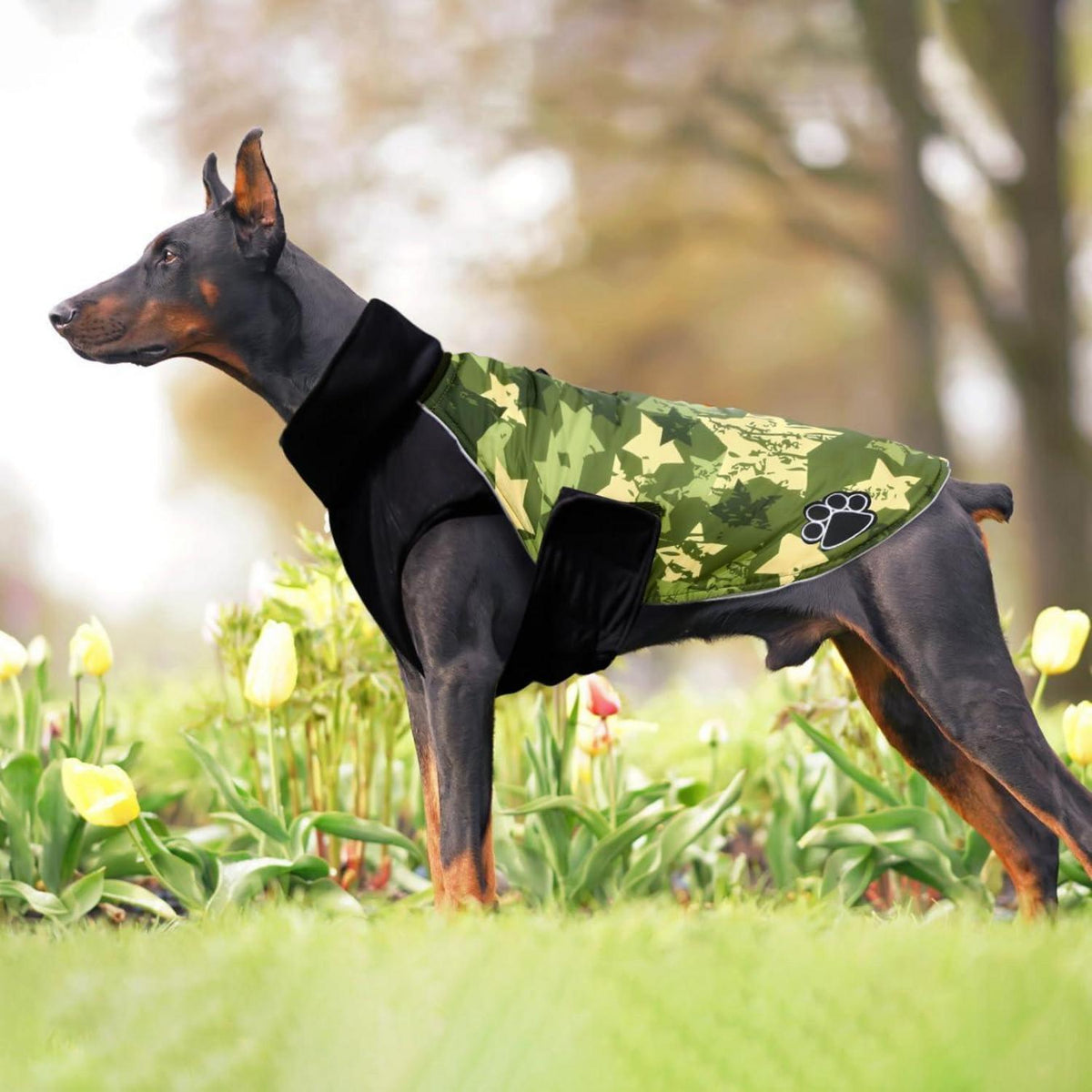 Hundemantel Fleece Französische Bulldogge Regendicht GreenStarCamo L