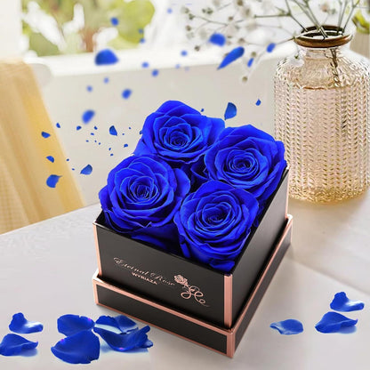 Ewige Infinity Rose Kette mit Konservierte Rosenbox Rot