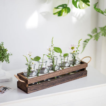 Kleine Glasvase Set Hydrokultur Terrarium Pflanzen Deko