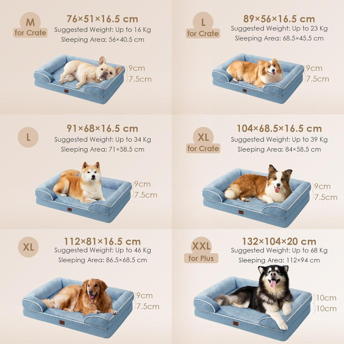 Orthopädisches Hundebett XXL Hellblau mit Memory Foam und hohem Rand