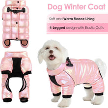 AOFITEE Hundemantel Winter Warme Hundejacke für Kleine