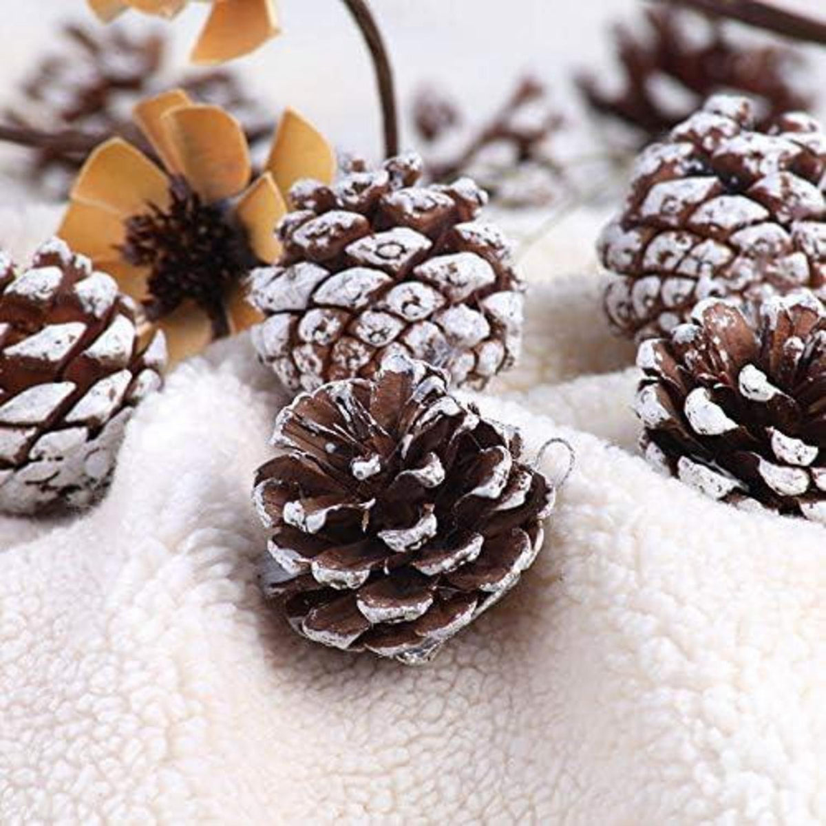 HERZWILD Weihnachten Mini Tannenzapfen Ornamente 48pcs - DIY Handwerk & Weihnachtsbaum Dekoration
