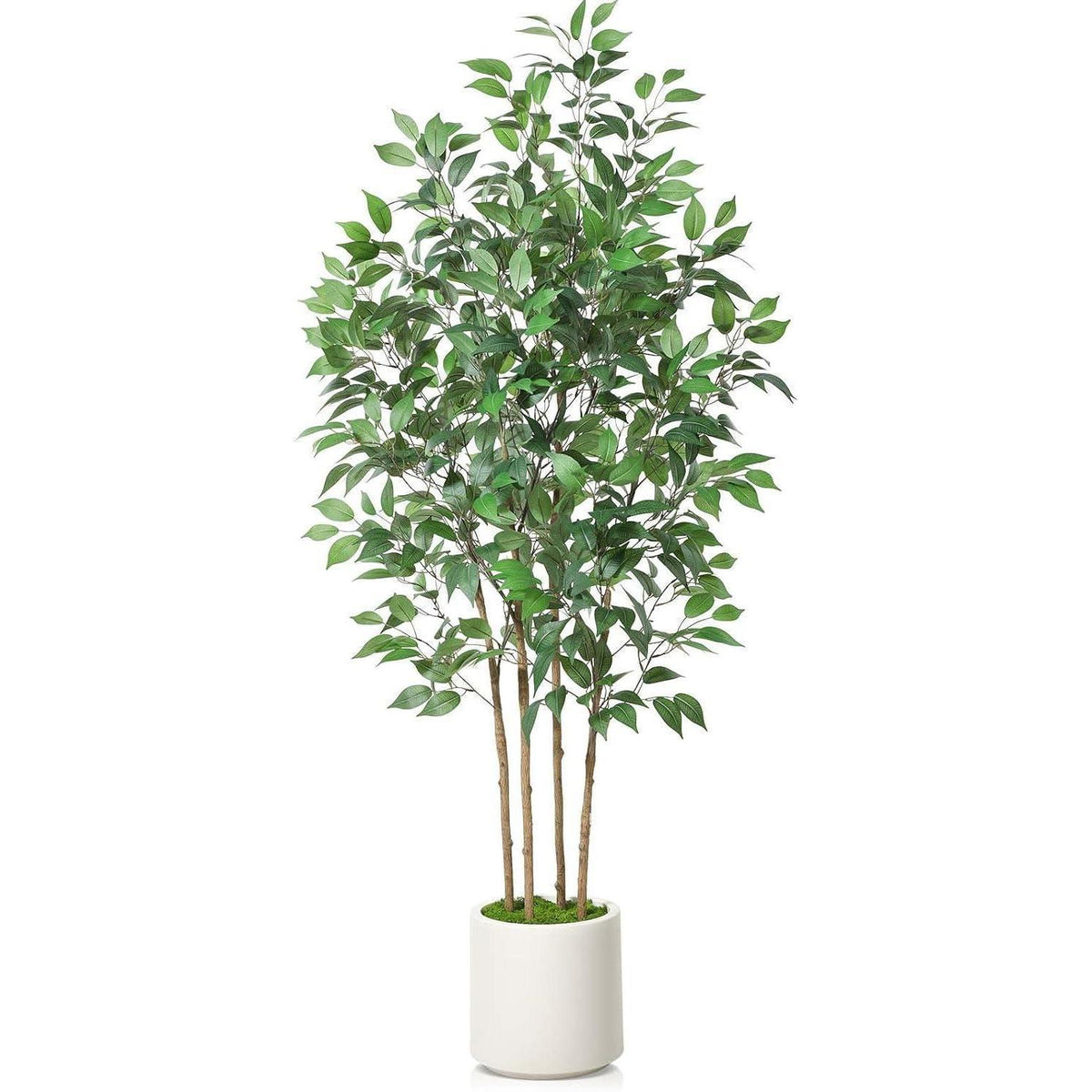 Künstlicher Ficusbaum 180cm mit weißem Topf und Kunstmoos