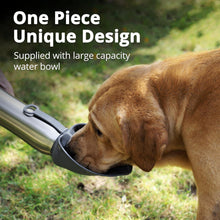 Petace Hunde Trinkflasche 720ml Edelstahl Doppelwandig