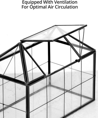 Geometrisches Terrarium Glas für Kakteen Sukkulenten Schwarz