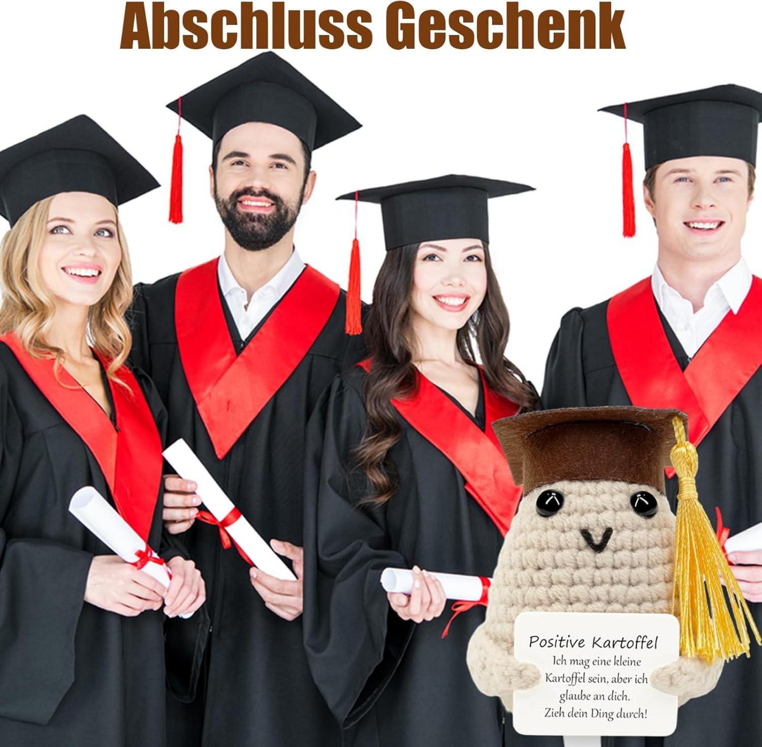 Mini Abitur Geschenk Positive Kartoffel Motivationsgeschenk 2024