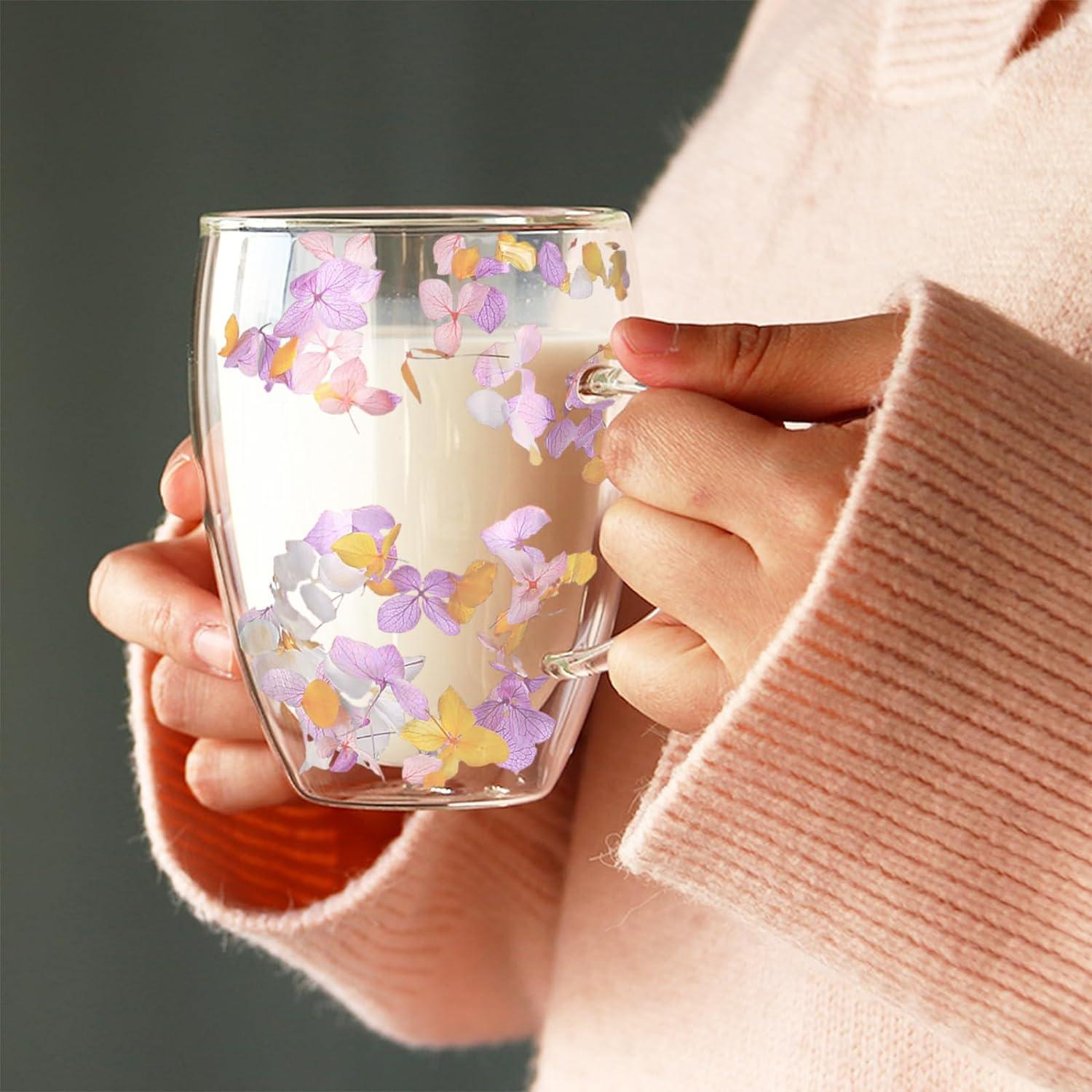 Trockene Blume Doppelwand Glas Kaffeetasse Isoliert Hitzebeständig