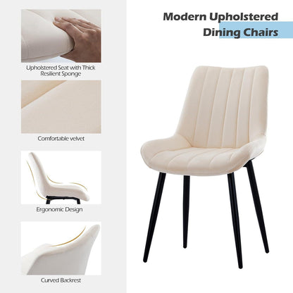 Samt Esszimmerstühle 4er Set – Moderne Sessel Creme Beige