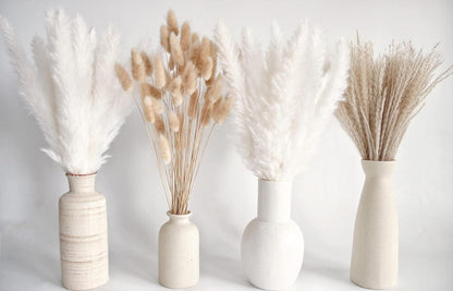 100 Stück Getrocknete Weiße Pampasgras Bunny Tails Deko