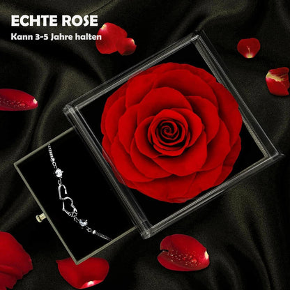 Ewige Rosen Geschenkbox Rot Infinity Rosen Romantisch Konservierte