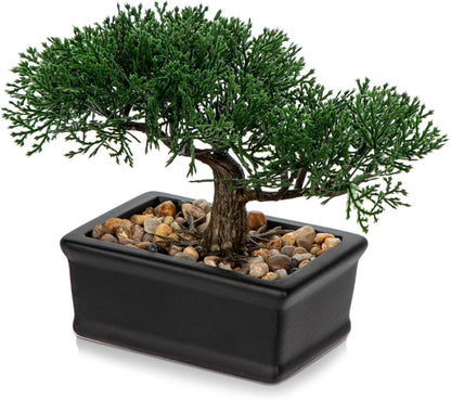 Kunstbonsai Zeder Kunstpflanze Schwarz Keramik-Übertopf