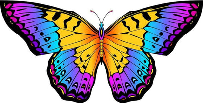 Schmetterling Drachen flugdrachen Kinder Erwachsene 120x95cm