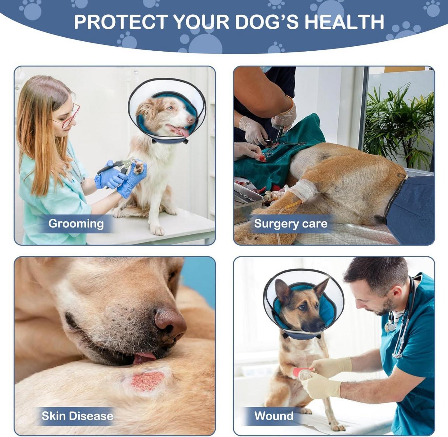 EvcgoX Halskrause Leckschutz Hund Operation 360° Blau L-XL