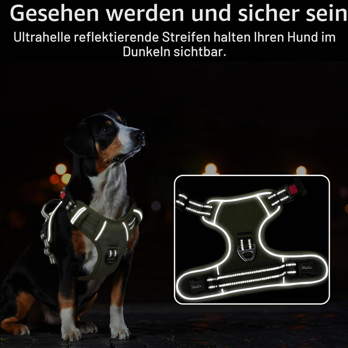 Hundegeschirr Brustgeschirr Grün XL mit Schloss & Reflektor