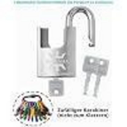 Edelstahl Vorhängeschloss 60mm - 2er Pack, Gleichschließend