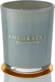 Duftkerze im Glas Eukalyptus Moschus 420g 46h Brenndauer 2 Dochte