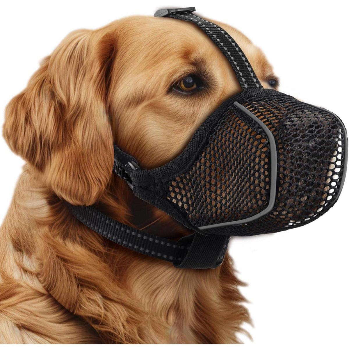 Hund Maulkorb Mesh Atmungsaktiv & Einstellbar