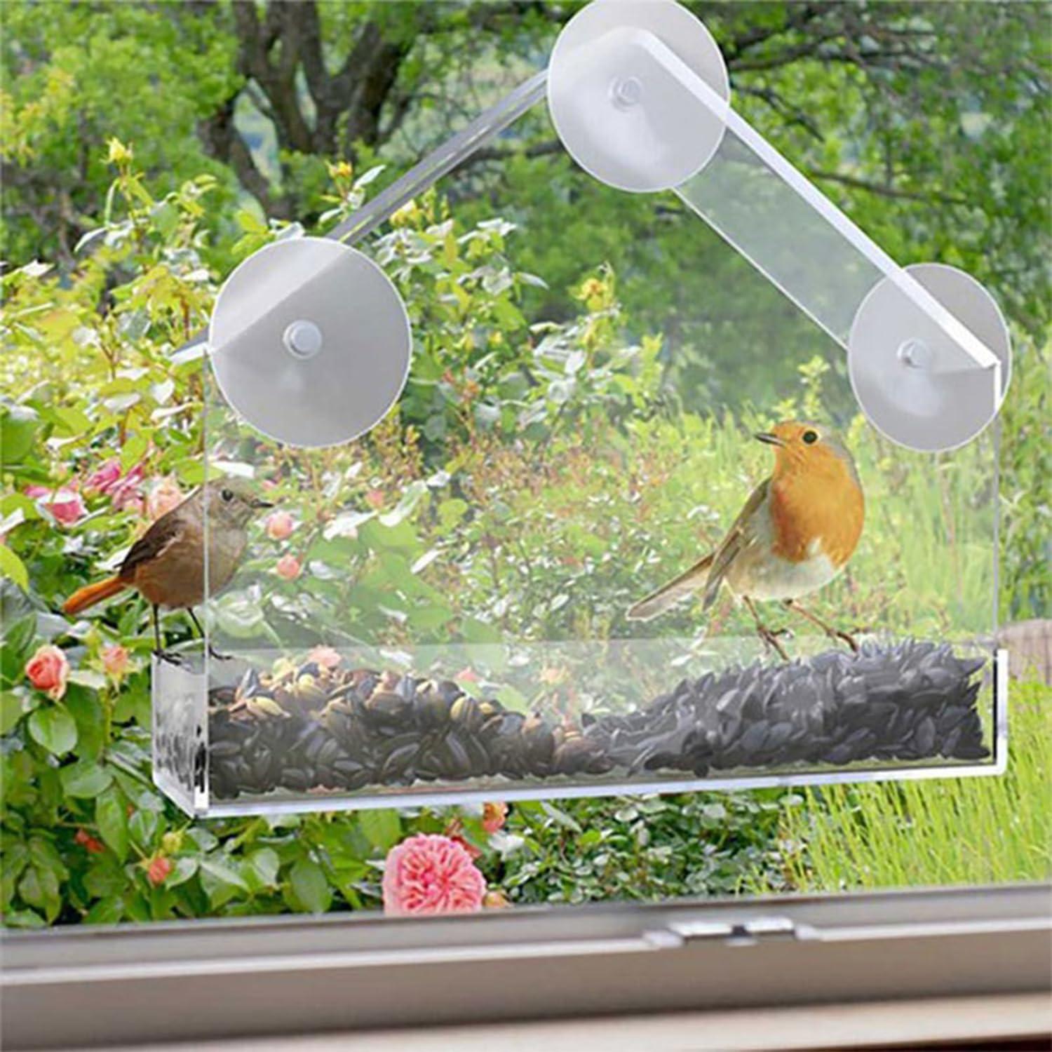 Transparentes Fenster Vogelfutterhaus Acryl mit Saugnäpfen
