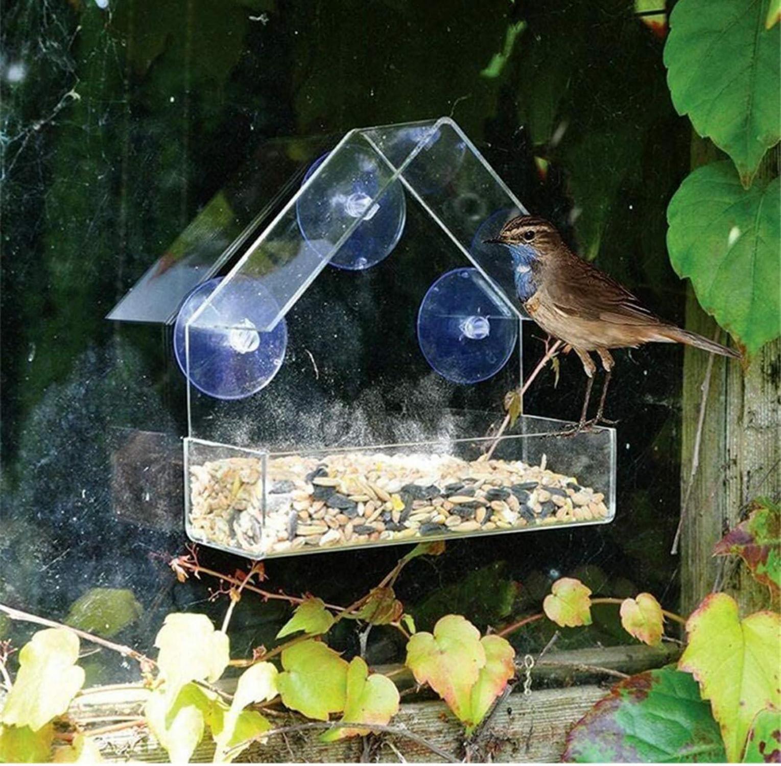 Vogelhaus Acryl Fensterfutterstation Transparent mit Saugnäpfen