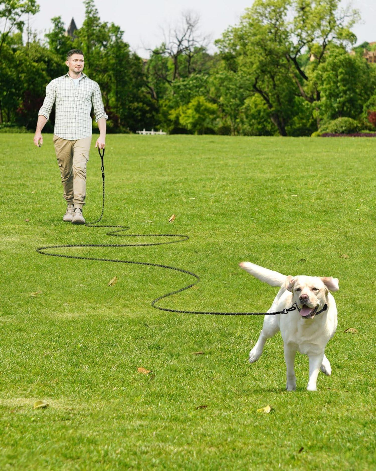 Joytale Schleppleine für Hunde, 10m Trainingsleine mit Gepolstertem Griff