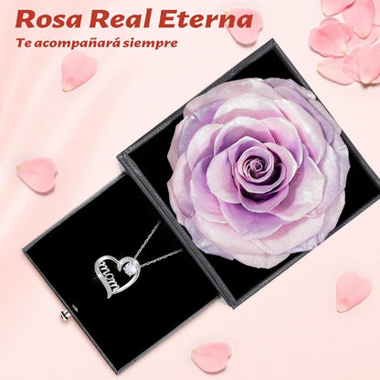 Ewige Rose mit Mom Halskette - Geschenk für Mama
