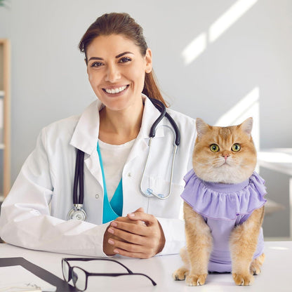 Katzenbody Erholungsanzug Kastration Spay Entwöhnung Leckschutz Suit