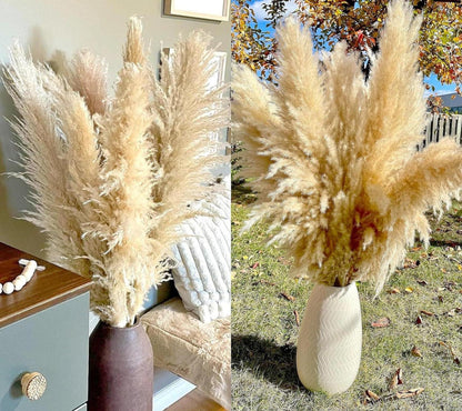 20 Stück Pampas Grass XXL Deko Groß Trockenblumenstrauß 100cm