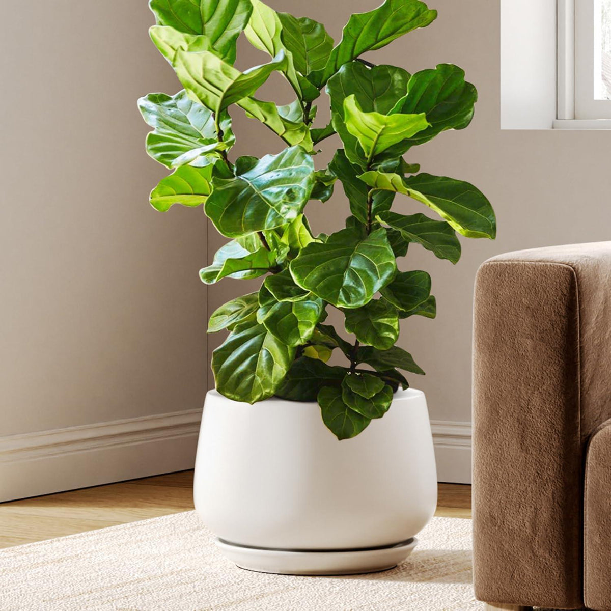 Keramiktopf 30cm mit Untersetzer – Weißer Pflanztopf für Pflanzen