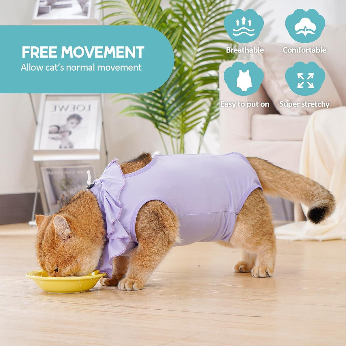 OP Erholungsanzug Katzenbody Modal Recovery Suit M-Lilac