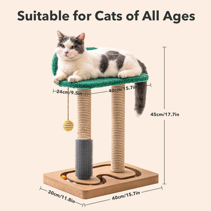 Doppelpfosten Holz Katzenspielzeug selbstbeschäftigung Kitten