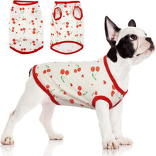 Hundepullover Kleine Hunde Dünner Chihuahua Pullover Weich