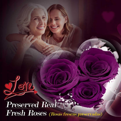 Ewige Rose Damen Halskette 925 Silber Rote Infinity Rose Geschenke Box