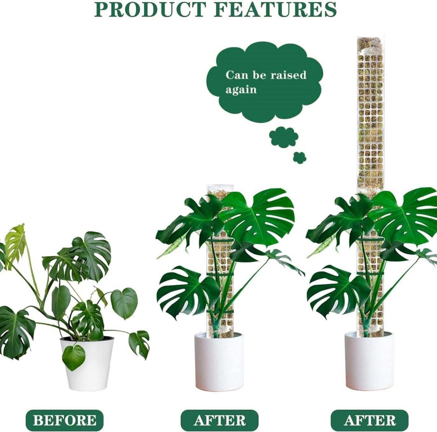 Moosstab 38cm Transparent Rankhilfe für Monstera Zimmerpflanzen