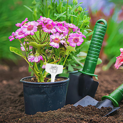 Mini Pflanzenstecker 200 stk. Wetterfest Garten Kräuter Beschriften