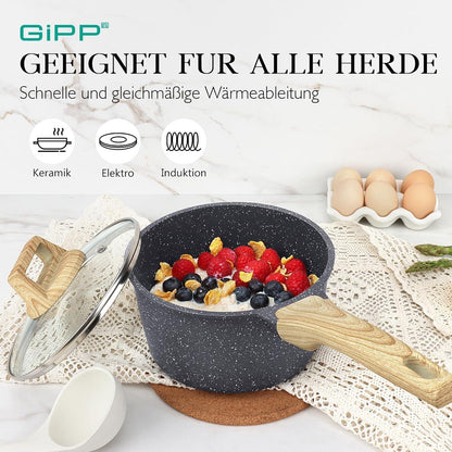 GiPP Kasserolle 2-teilig mit Deckel für Induktion, Granit-Antihaftbeschichtung, PFOA-frei