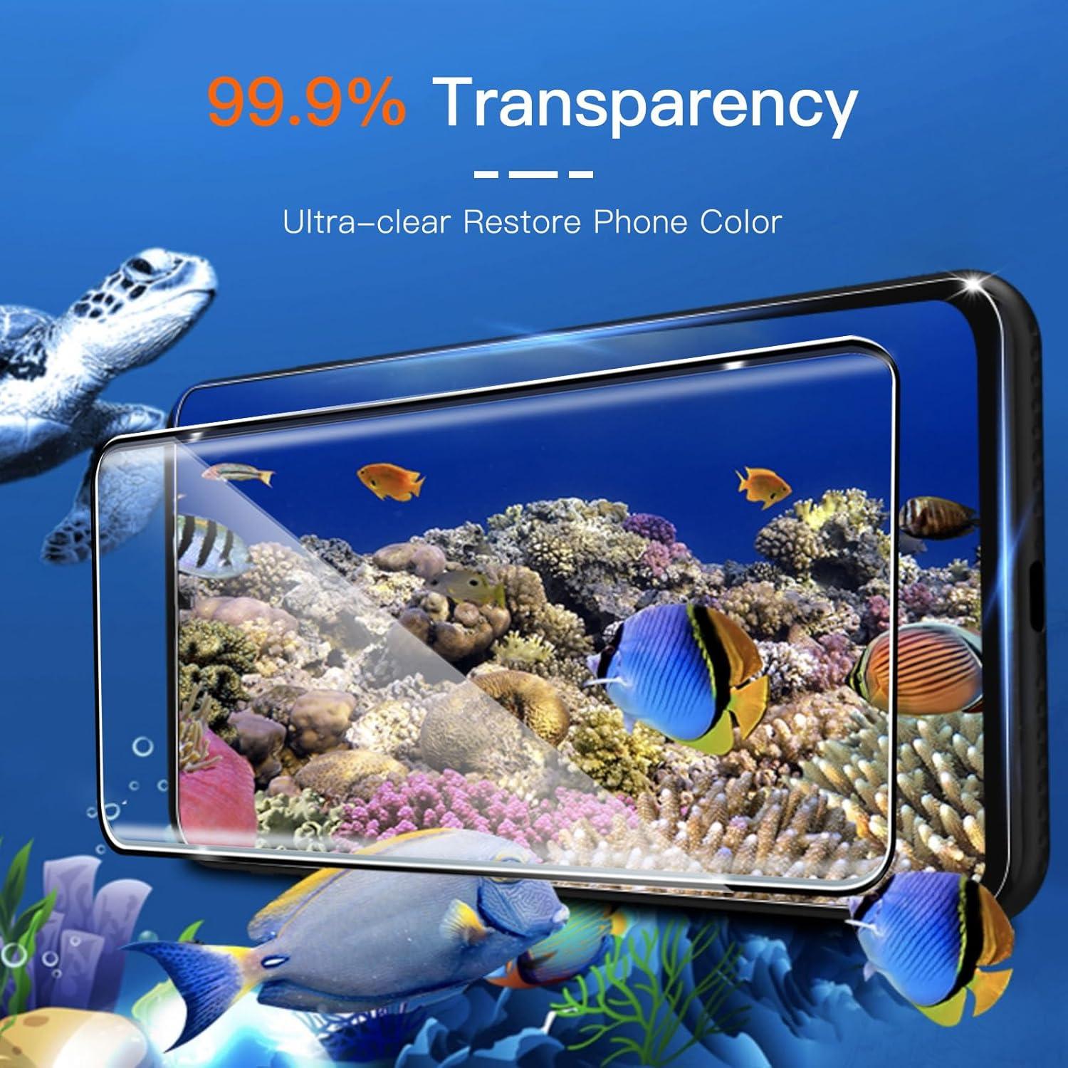 Panzerglas Schutzfolie Honor Magic 6 Lite 5G