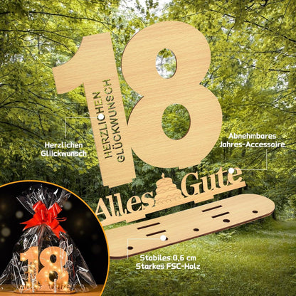 16. Geburtstag Deko Geldgeschenke LED Lichterkette Gästebuch