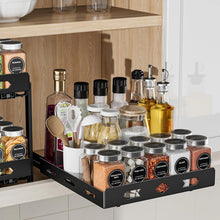 Gewürzregal für Schrank Organizer ausziehbar küchen Geeignet Gewürze