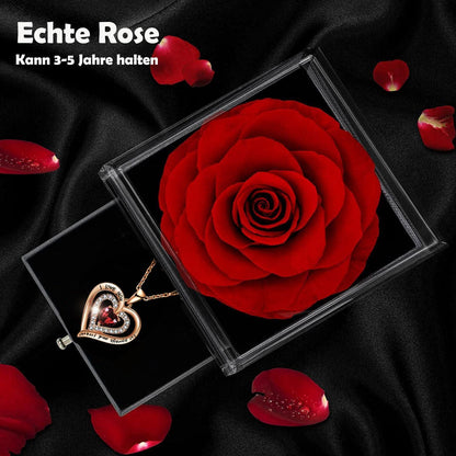Ewige Rosenbox konservierte echte Rosen Gold Magnetverschluss